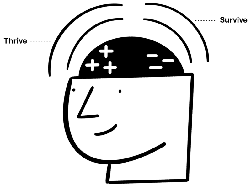 Illustration of the thrive and survive regions of the brain