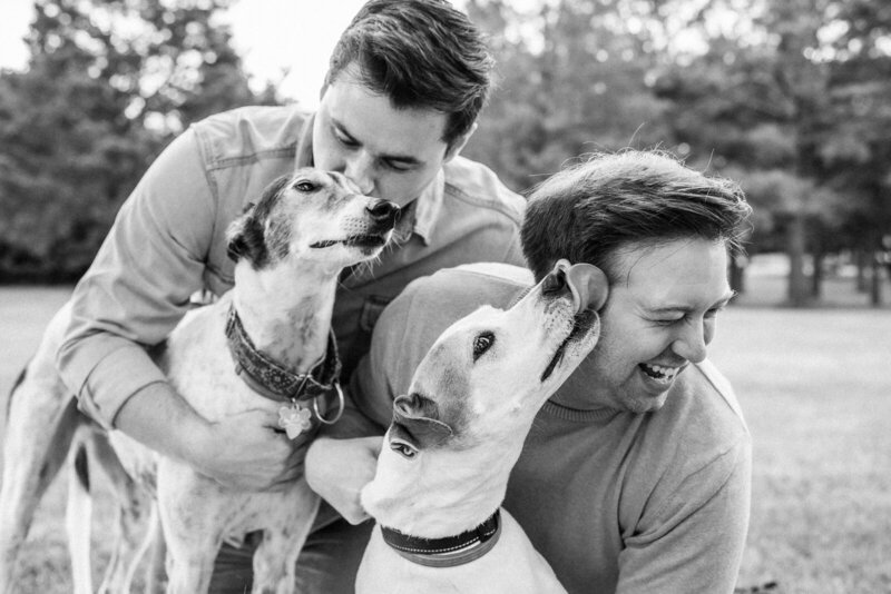 Black and white portrait of a couple playing with their two dogs. 
