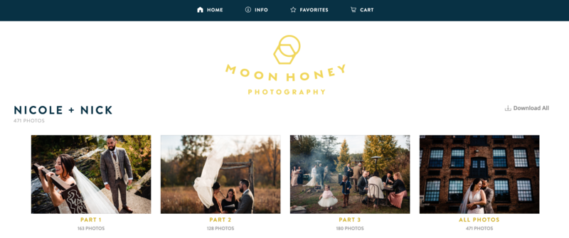 Screen Shot 2020-11-20 at 2.03.30 PM