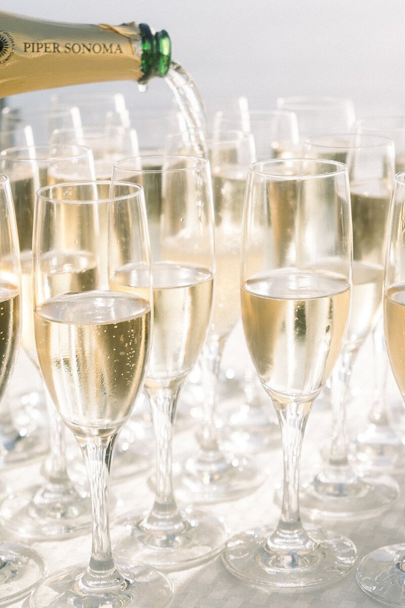 Preview Sara and Rowland Ritz Carlton Laguna Niguel Hello Blue Photo-22