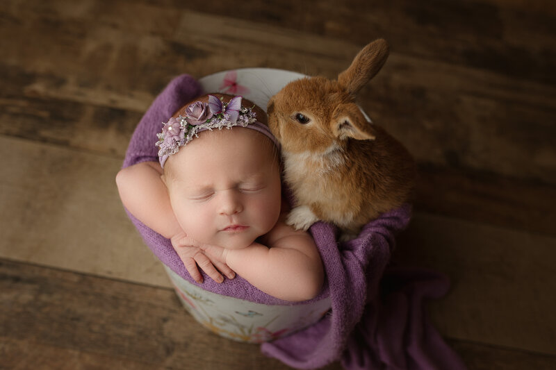 baby in bucket with baby bunny