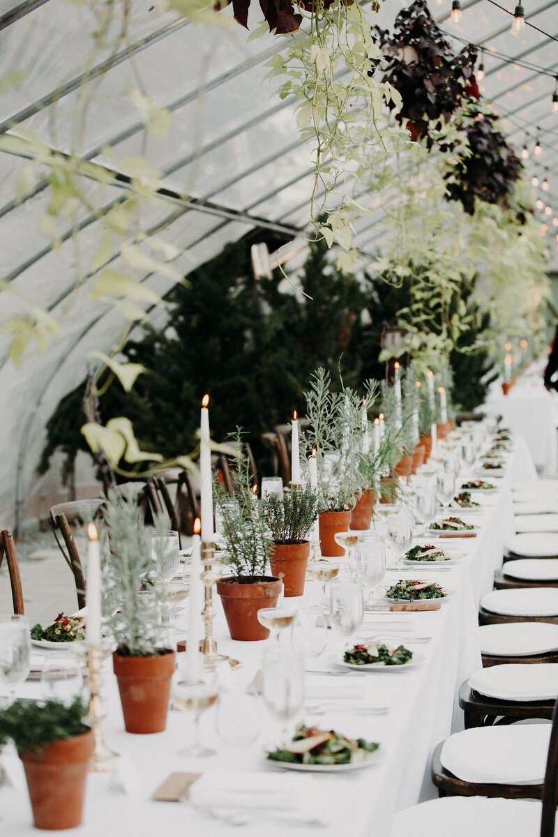 Wedding table with potted plants