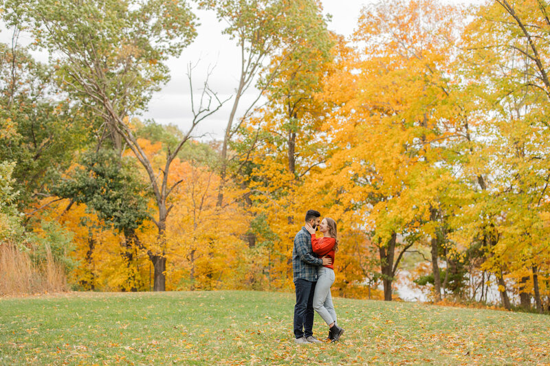 Nicole & Hozhabr Engagement -138