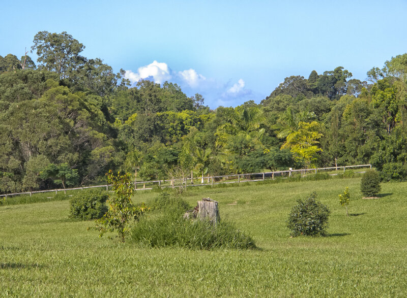 Kuranda House Design from Watson Construction FNQ
