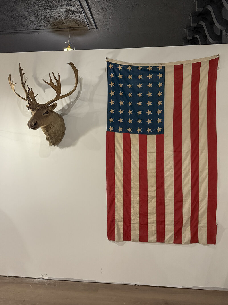 Rochester Interior Designer + Retail destination nestled in the heart of Canandaigua, NY