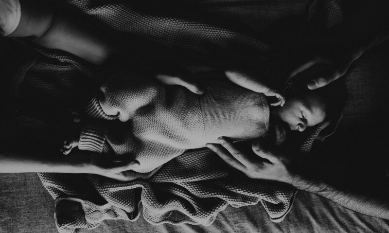 rex newborn66