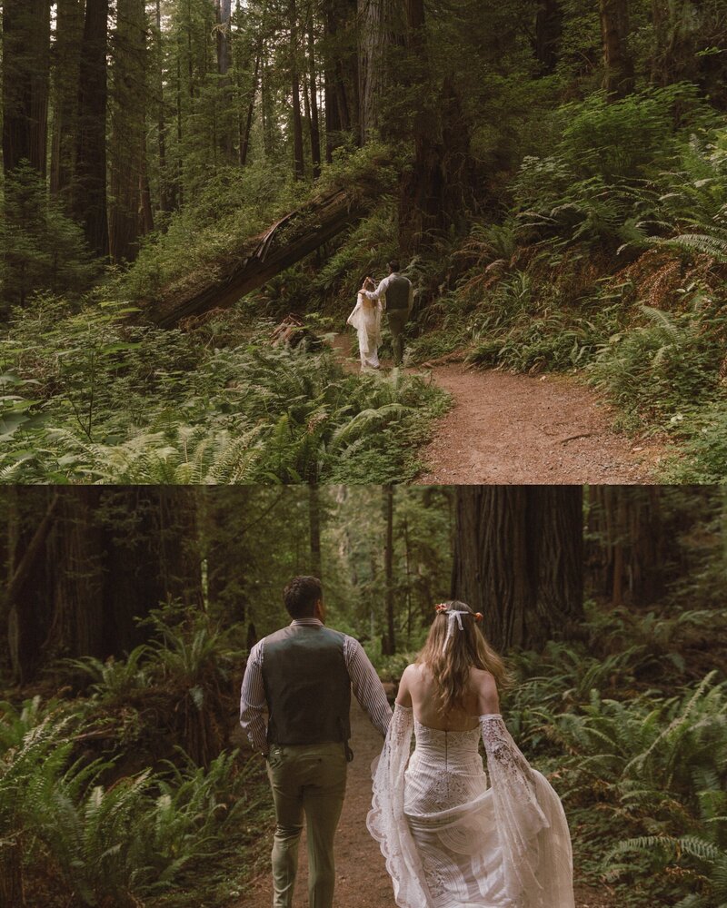 redwoods-elopement-photographer