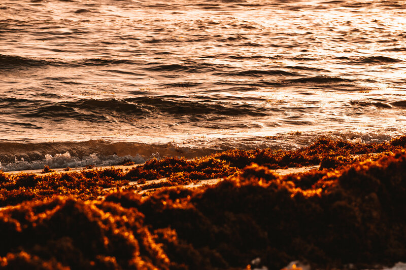 _DSC1204