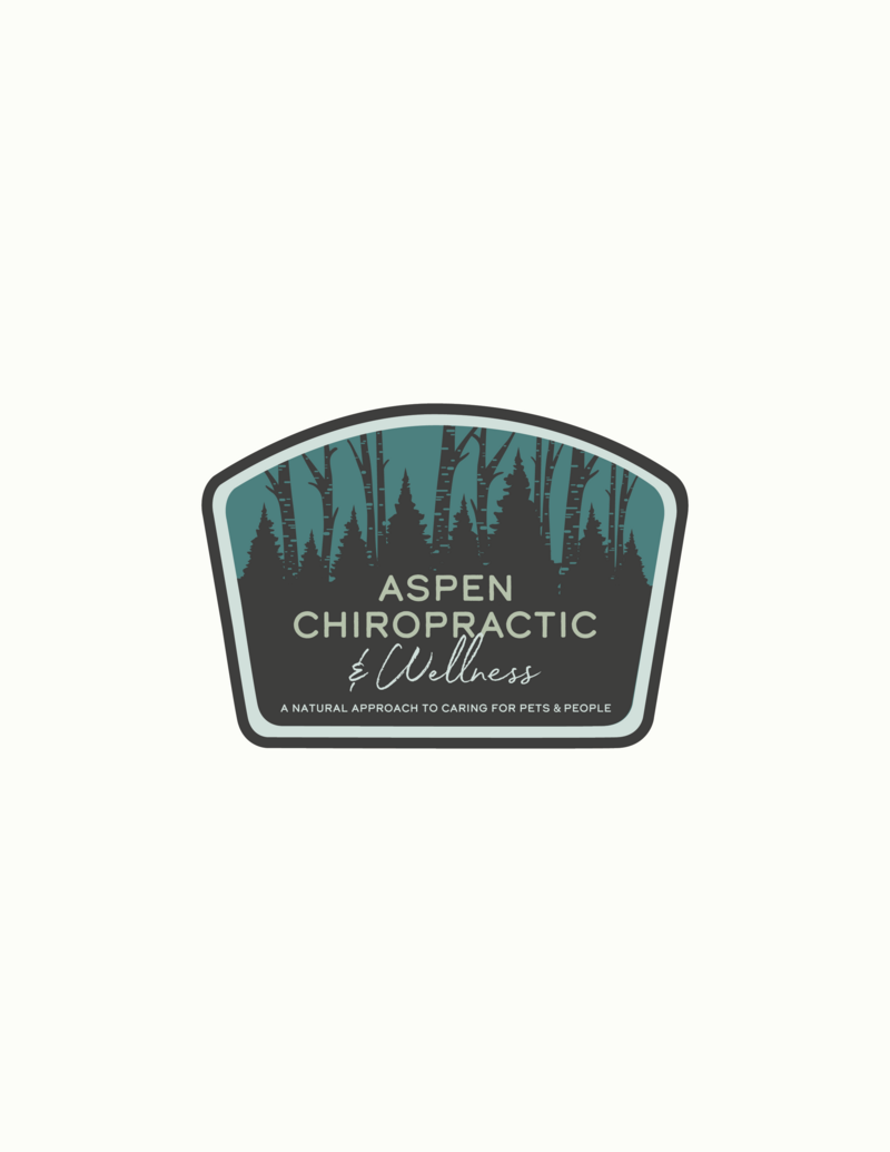 aspen-2022-shirt-presentation-V2-badge-07