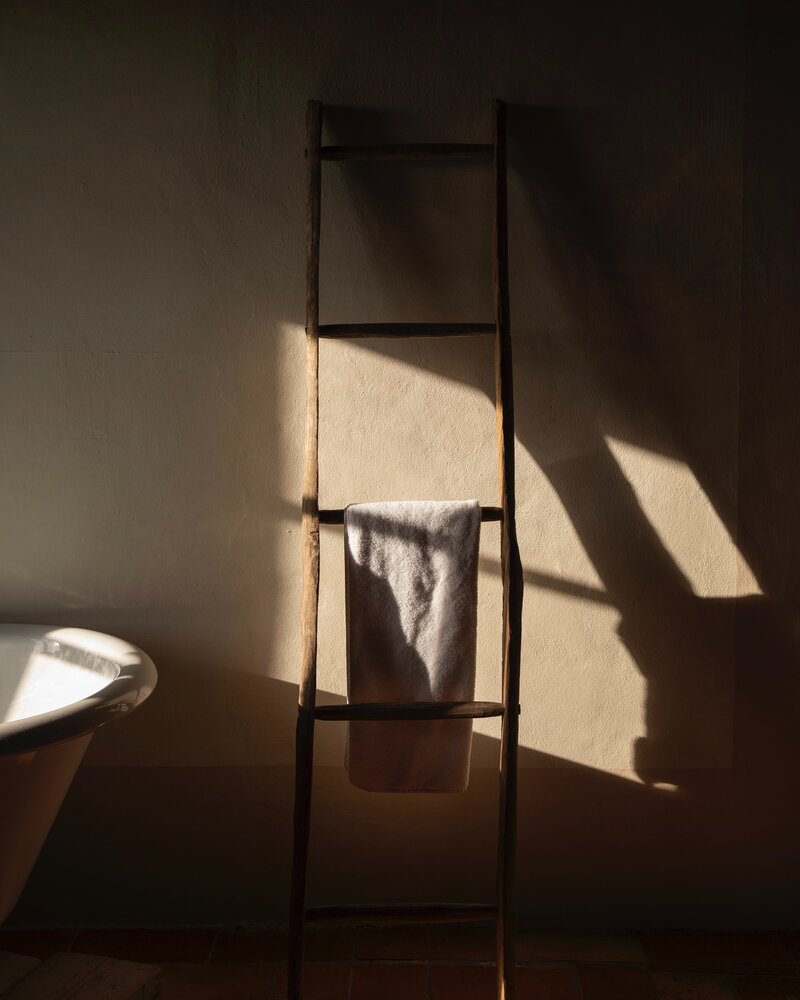 Moody bathroom with wood ladder