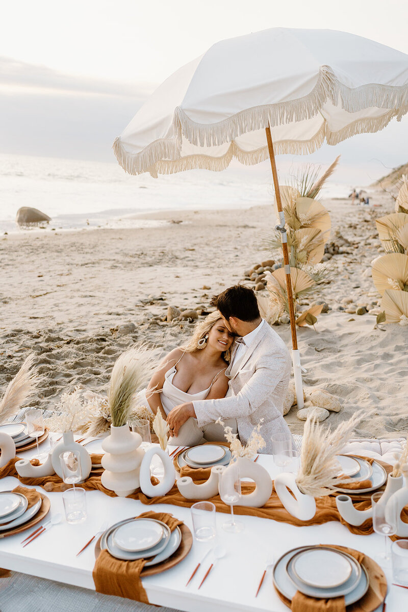 newlyweds at picnic beach