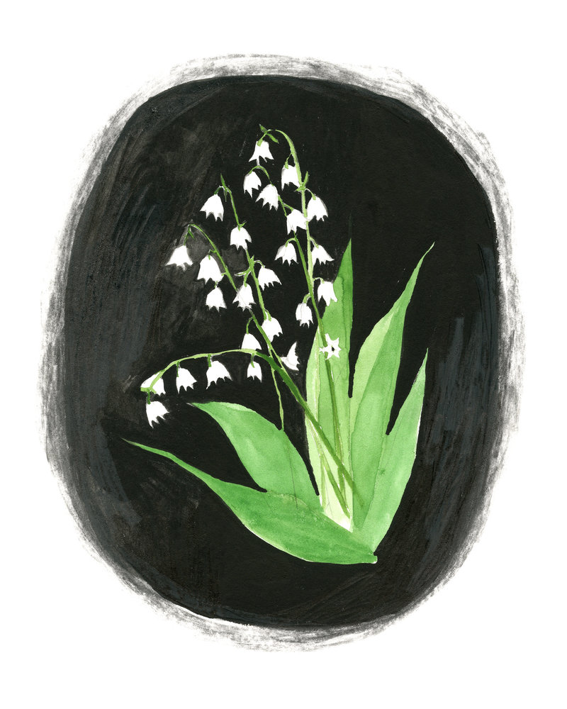 Lindsay Hine - Lily of the valley