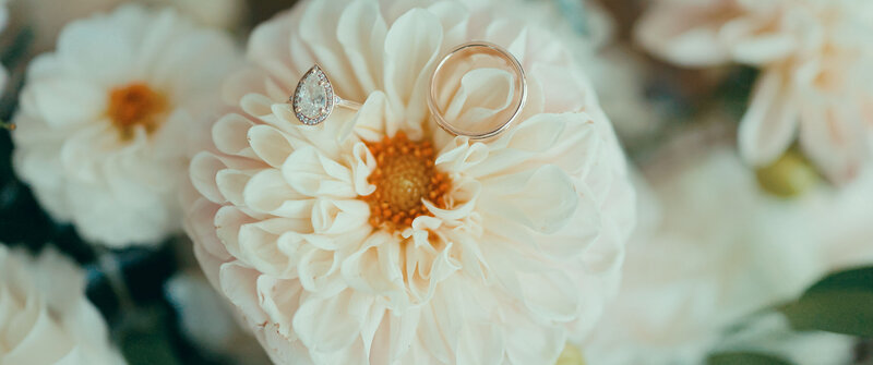 wedding-rings-sitting-on-flower