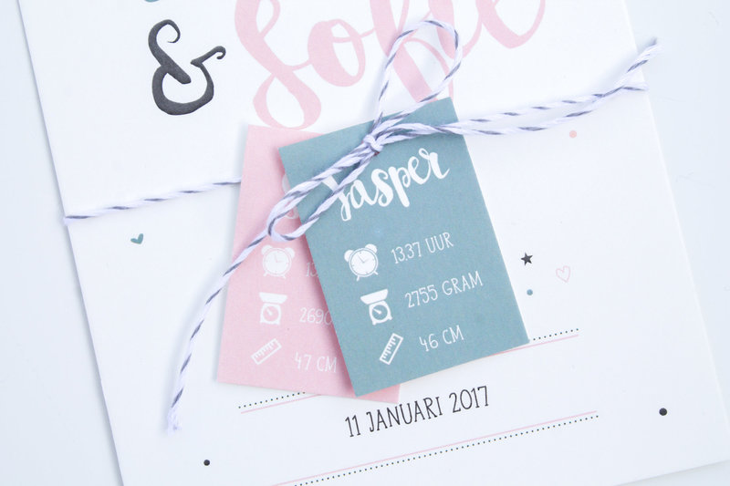 Tweeling geboortekaartje met labels in roze en blauw