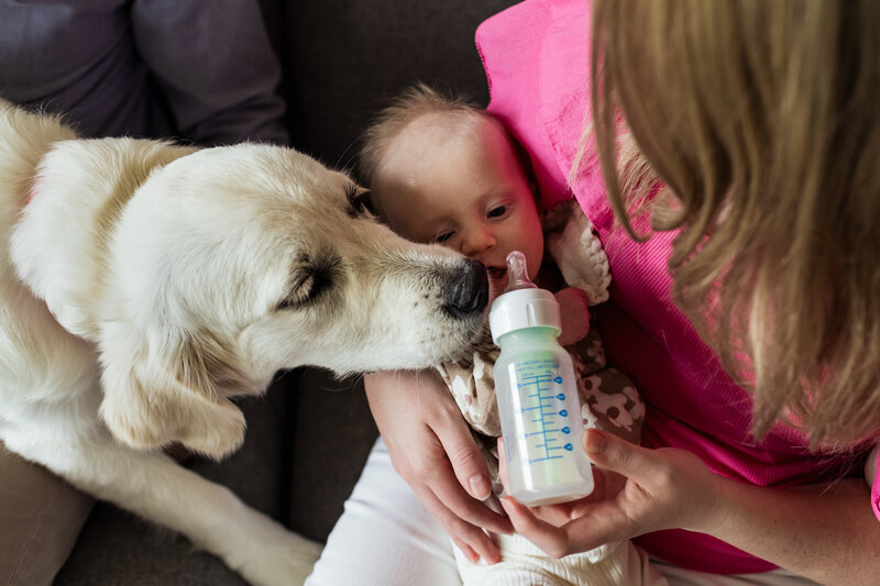 Spokane newborn photography in nursery with dog