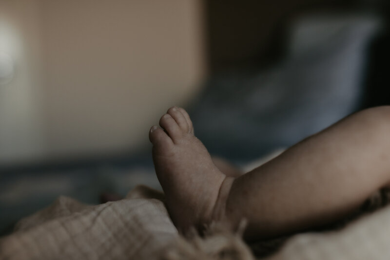 rex newborn5