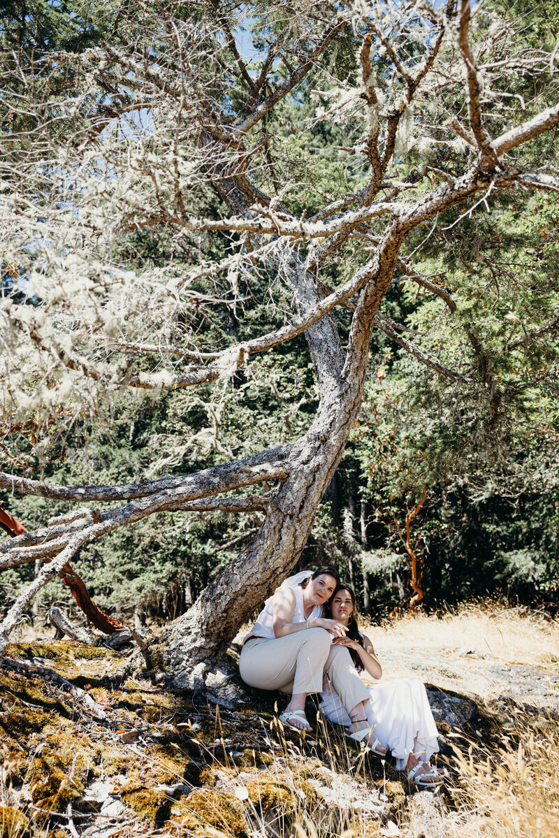 Newlyweds  kissing at salt spring island  wedding
