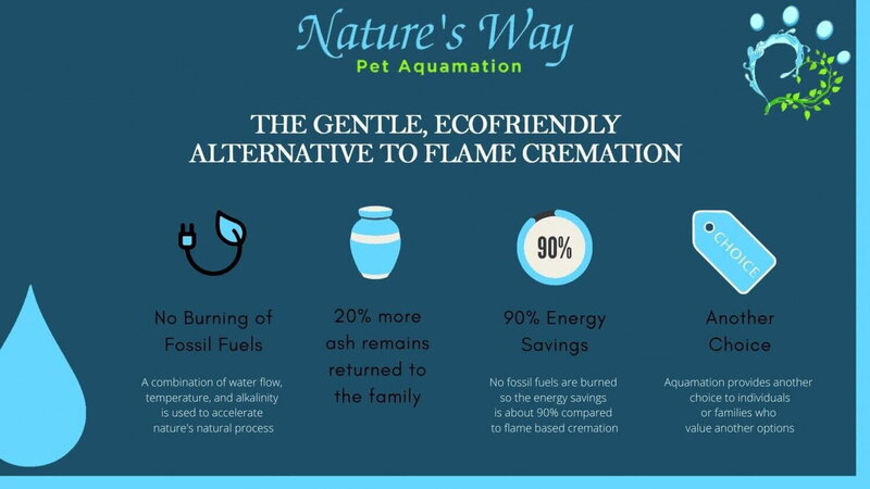 An illustration of the aquamation process, highlighting it as the gentle, eco-friendly alternative to traditional flame cremation, offered by Nature's Way Pet Aquamation in Lansing, Michigan.