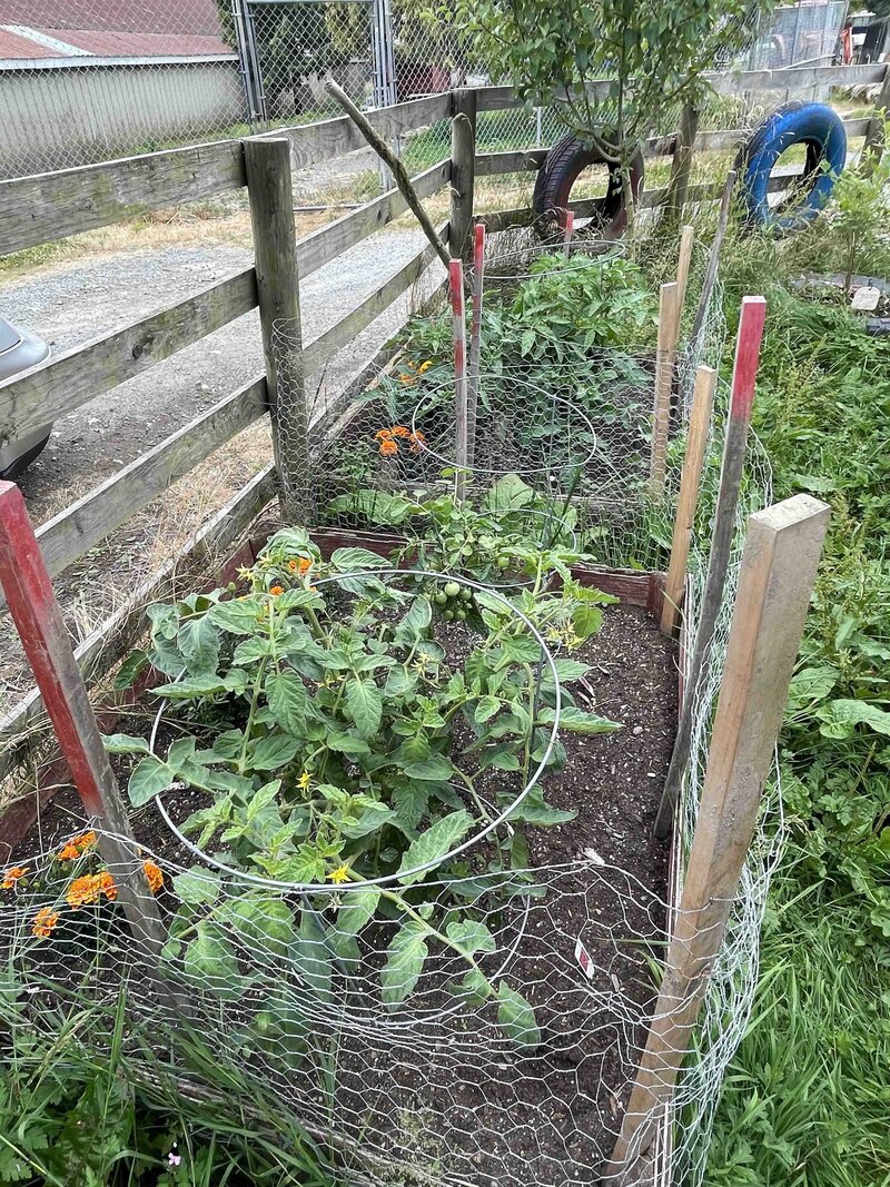 The Silo Garden 2022 - 02