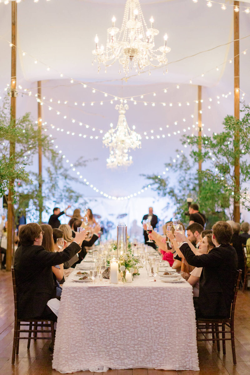 Wedding guests raising their glasses for a toast at The Clifton in Charlottesville, Virginia.