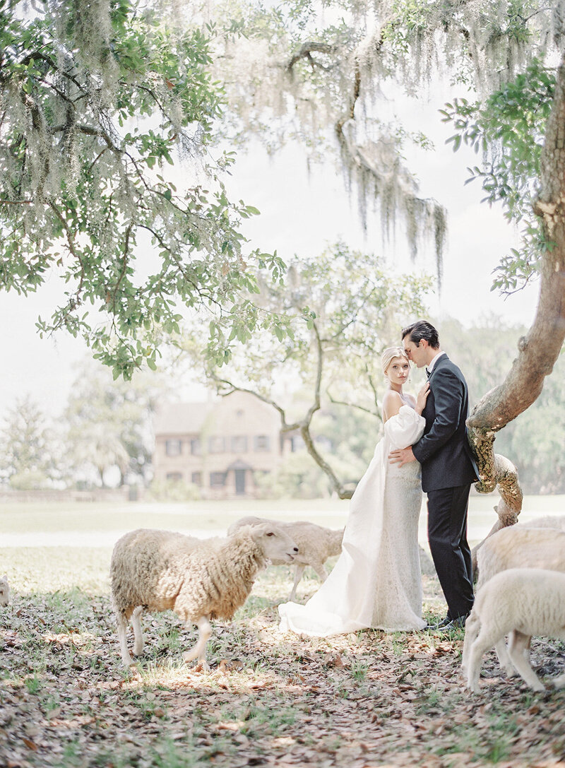 Charleston Wedding Photographers Wedding Photographers