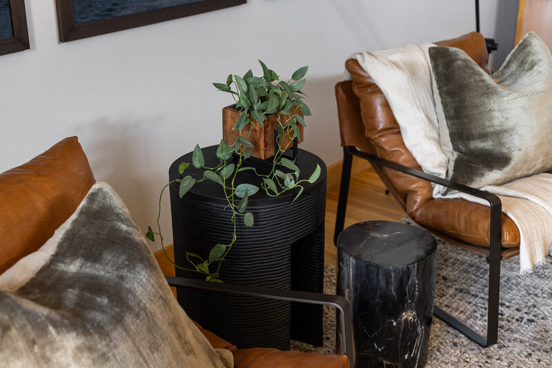 interior designer Fort Collins furniture