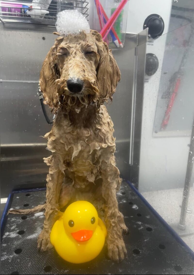 Penny Spa Day Pic 2