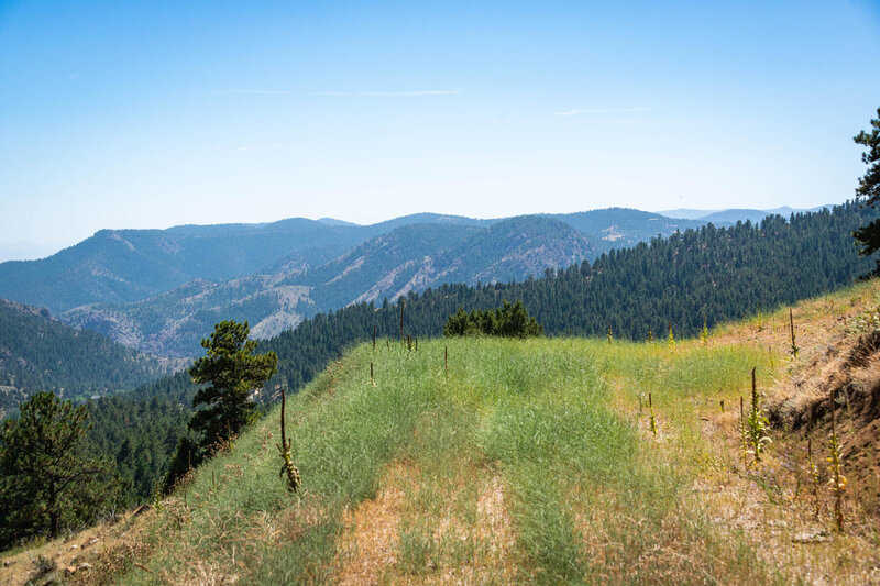 1440 S Lininger Dr-012-070-Land-MLS_Size
