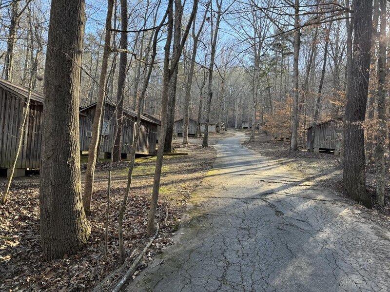 Cabin area