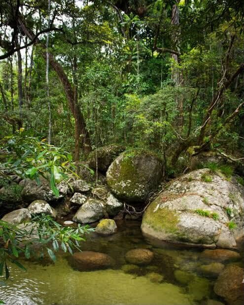 557783024_1336055521529176_2139813156255211315_n