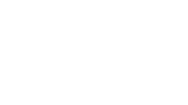 Cam + Larisa Brand Presentation (2)