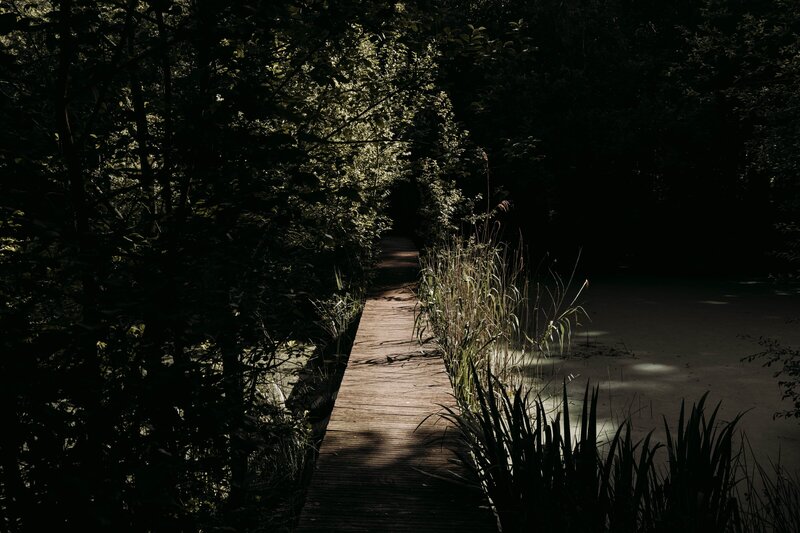 image00004 (1)-min