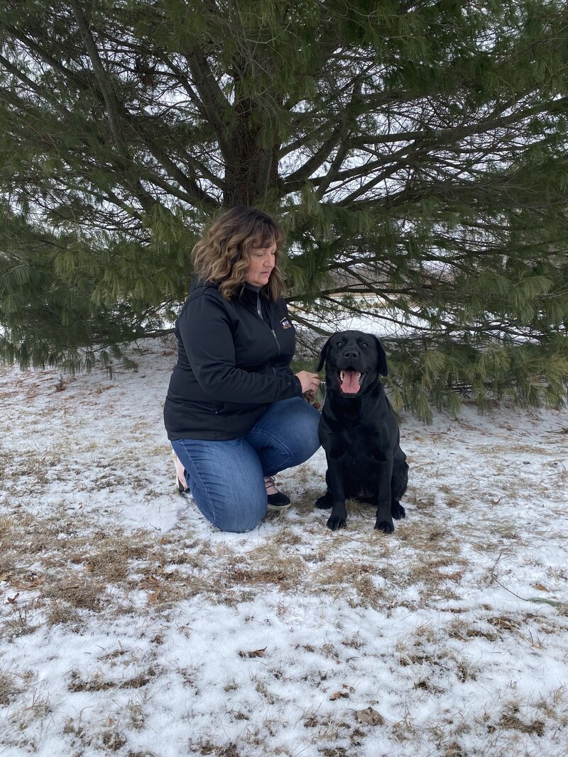 Black Lab female from AKC bloodlines in Michigan.