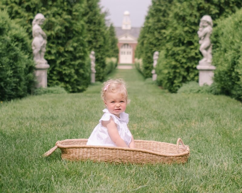 A little girl dressed in white with a pink bow sits in a bassinet between a row of evergreen hedges during her Evanston  newborn  photo session
