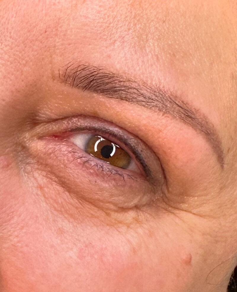 Best nano brows in Fort Frances - healed results