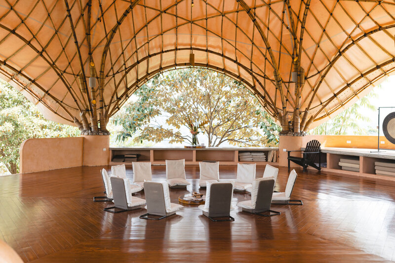 Healing Psychedelic Medicine Marin County