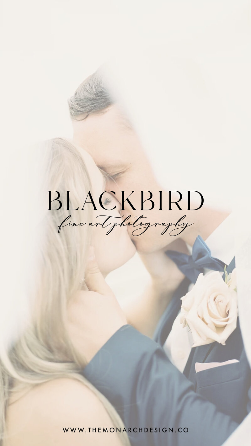 Blackbird-photography-social media - stories7