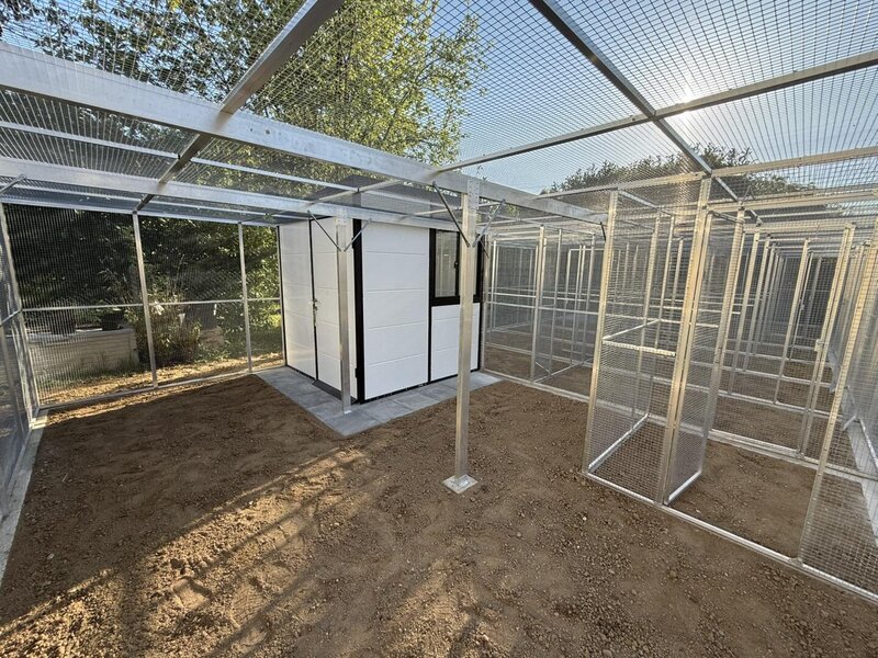 Enclos en cours d'aménagement intérieur.