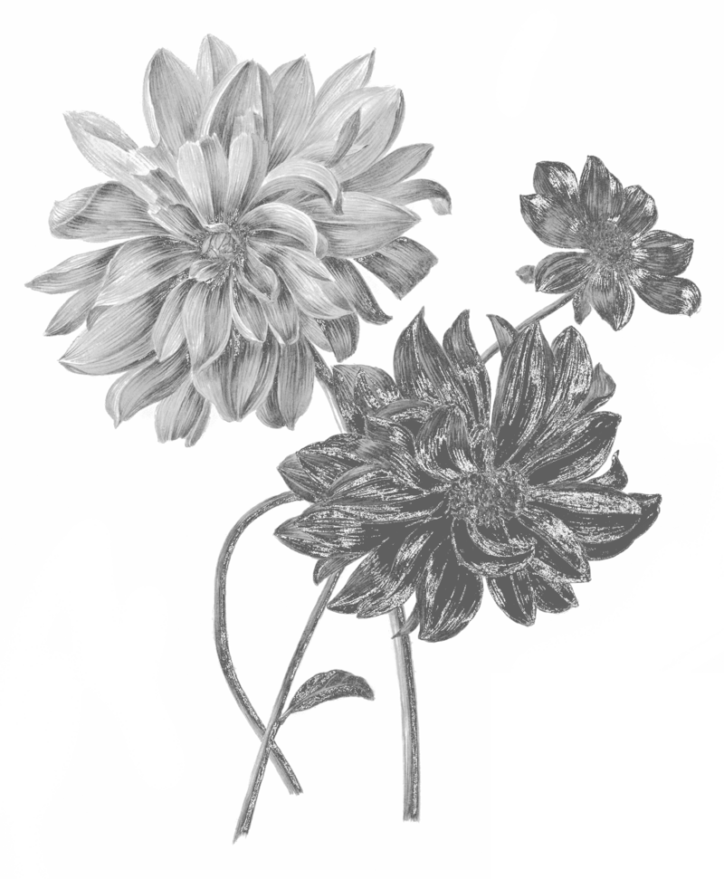 bundle of florals