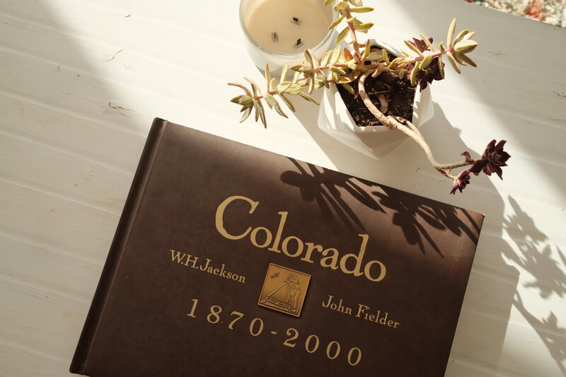 A book about Colorado sitting on a coffee table next to a plant