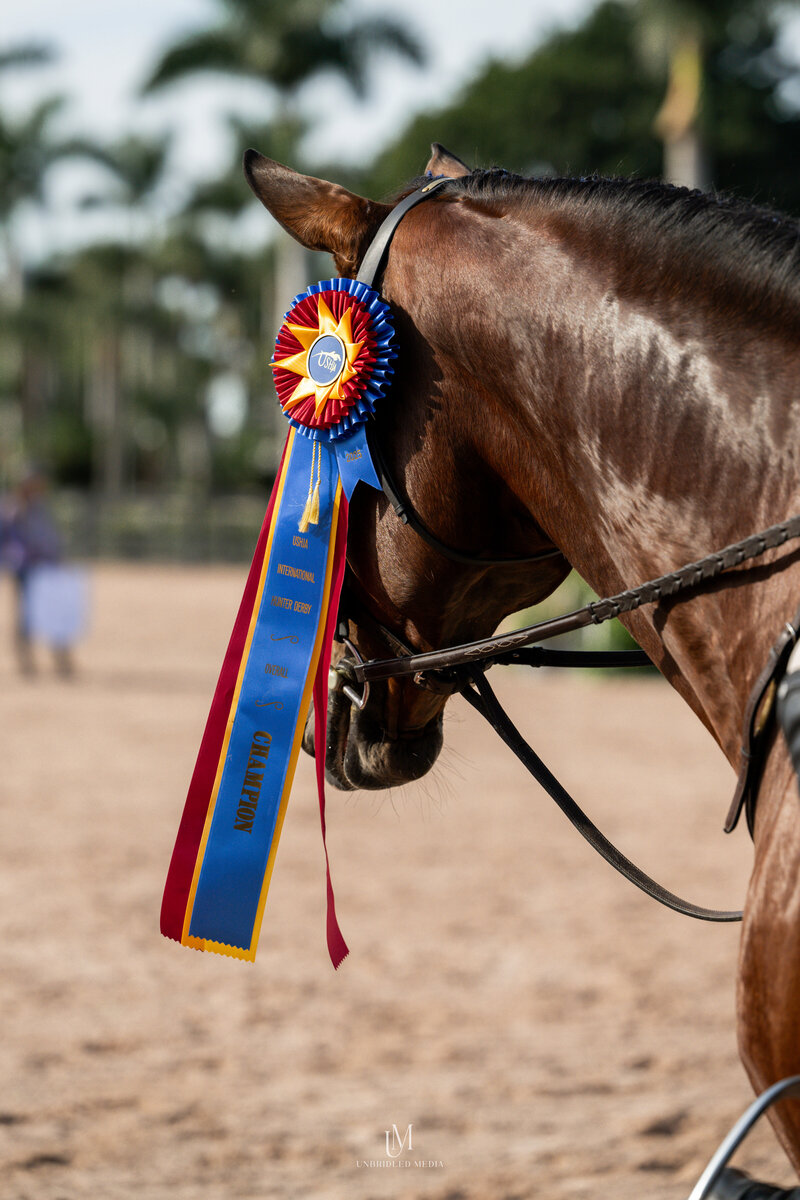 Unbridled MediaAAM_4874