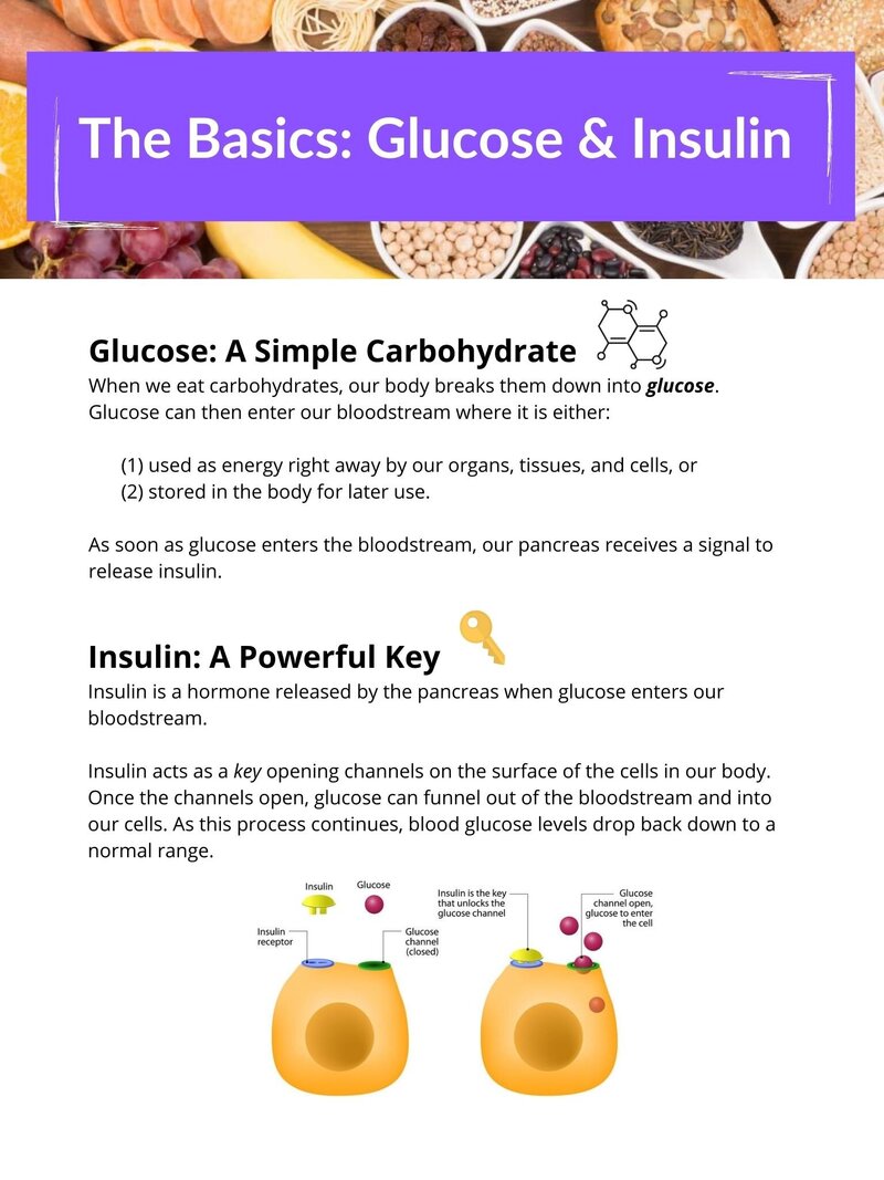 diabetes starter guide