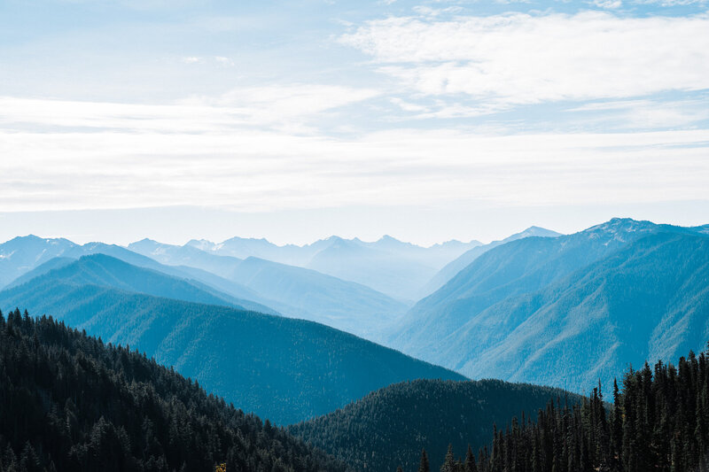A zoomed in image of the view from Hurricane Ridge and endless layered mountain peaks