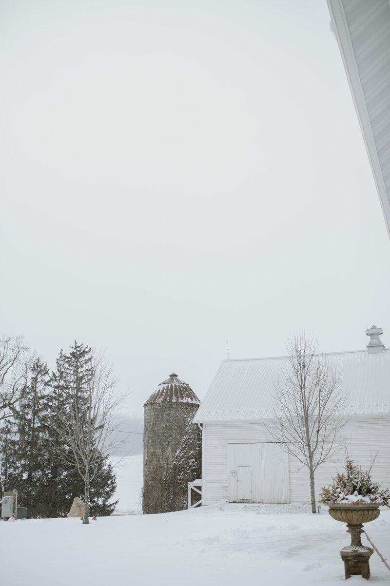 _DSC9339 (1)