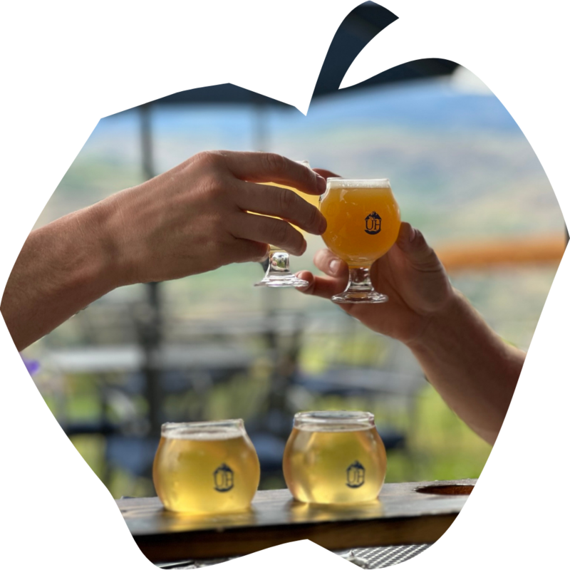 Two hands each holding a small glass of hard apple cider. They are touching their glasses together to cheers. The background is blurred out and underneath their hands are two more small glasses of cider.