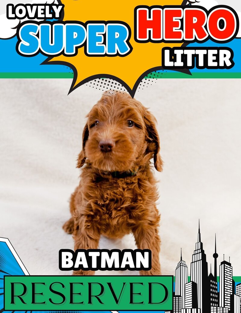 Hero - Green Batman Male