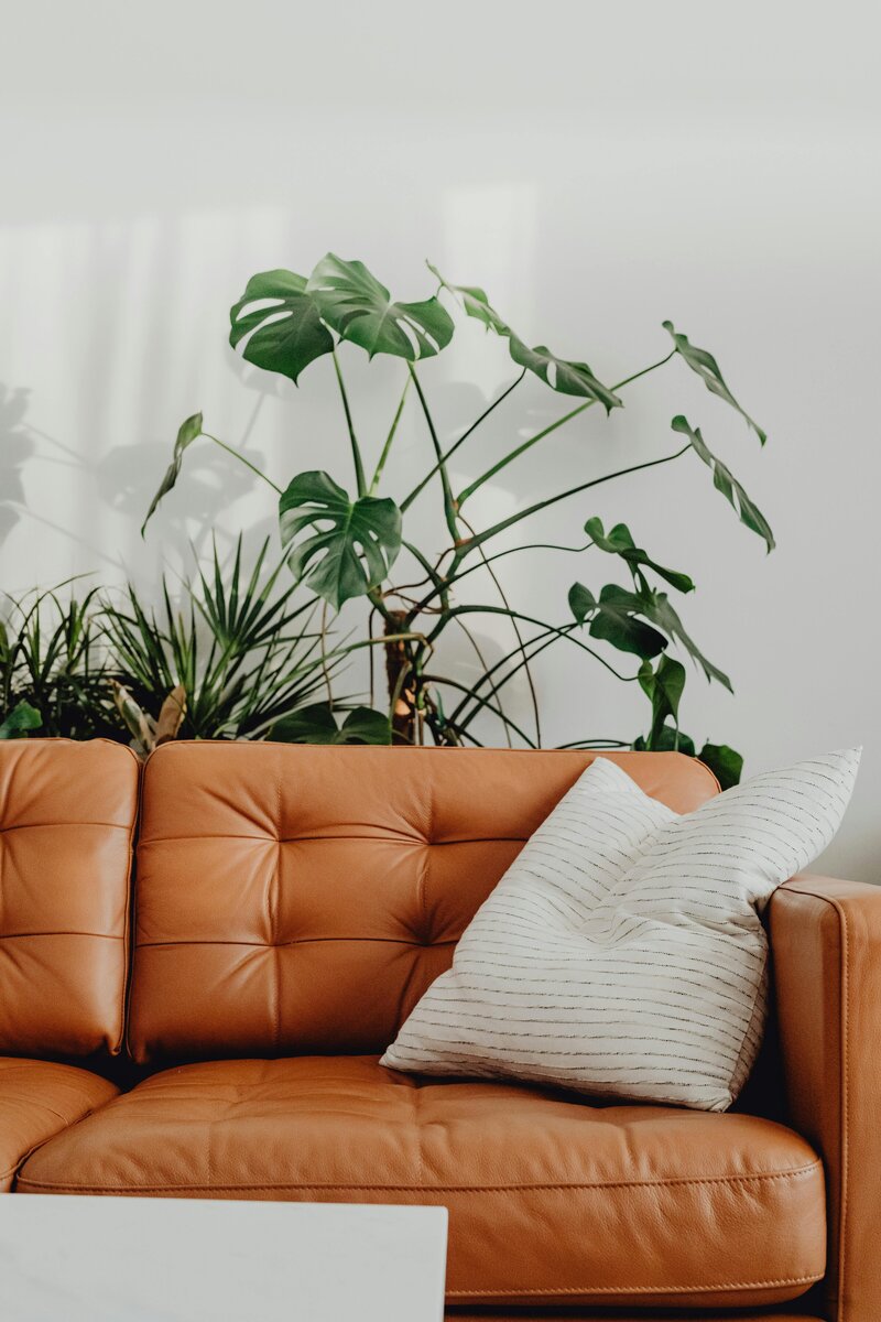 A cozy brown leather couch adorned with colorful pillows and a vibrant green plant beside it for Anxiety and Perinatal Therapy in Evanston, IL.