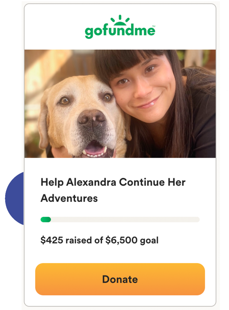 Alexandra Adlawan GoFundme Help Dude's Retirement