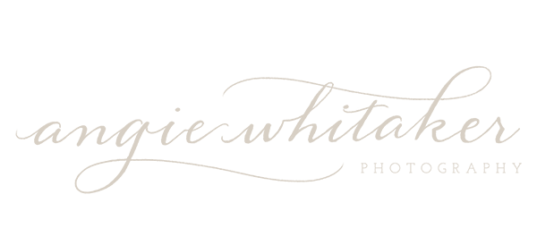 AngieWhitakerLogo-transparentBGwithPhotography LIGHT BEIGE for website