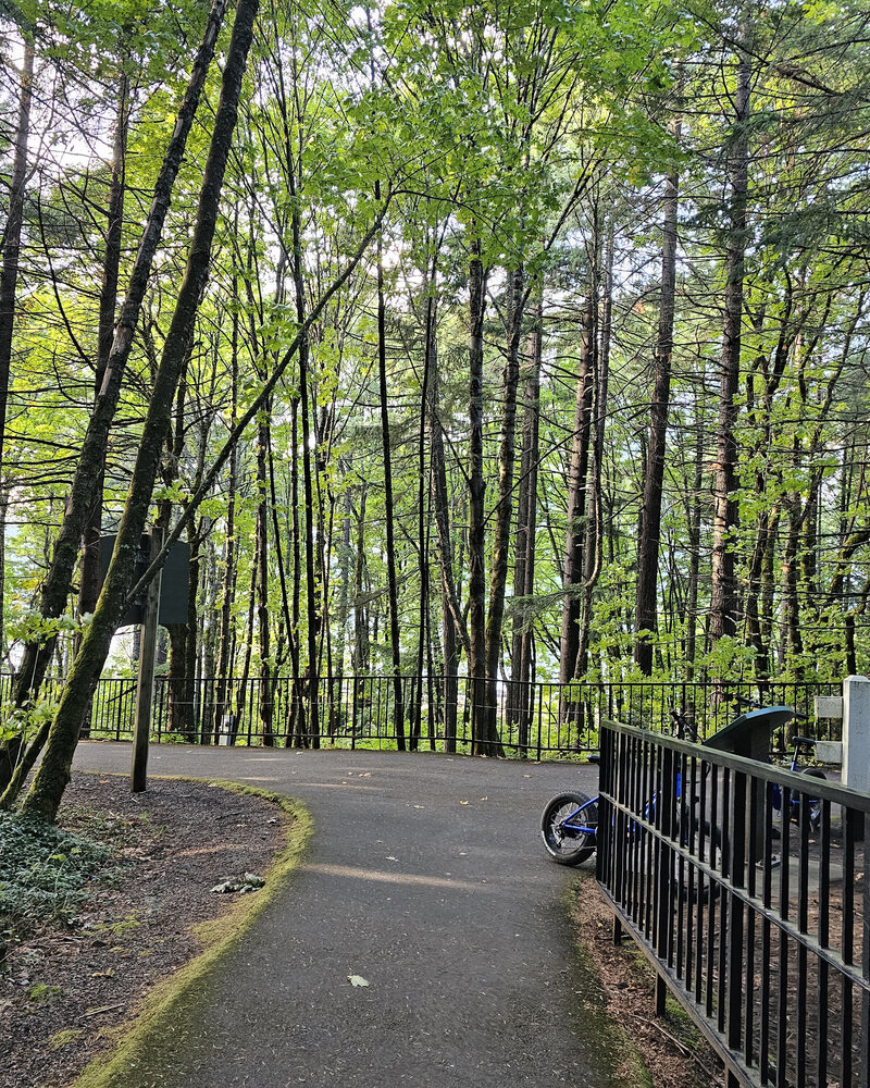 Immerse yourself in the scenic beauty of Viento State Park Cascade Locks while biking among the trees with The Gorge E-Bike Adventure Rentals